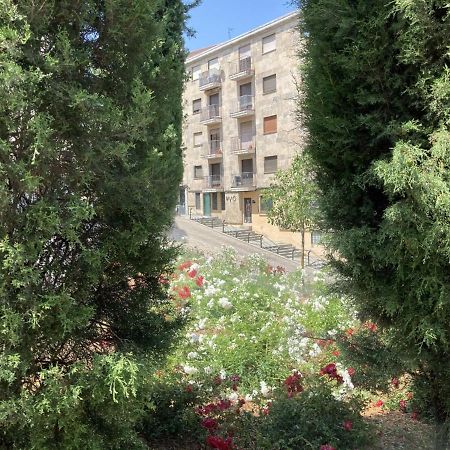 Plaza San Cristobal - Gran Via Apartment Salamanca Bagian luar foto